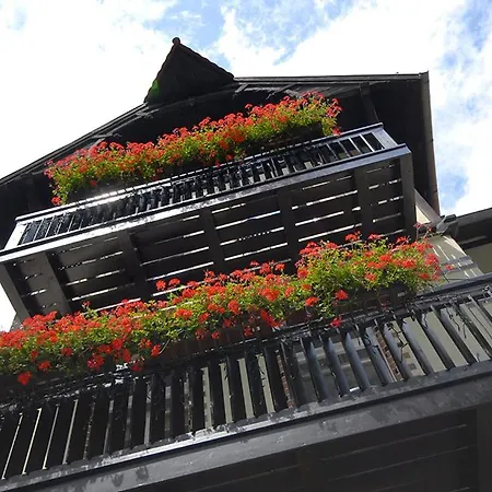 Turystyczne Przy Parku Szwedzkim Penzion